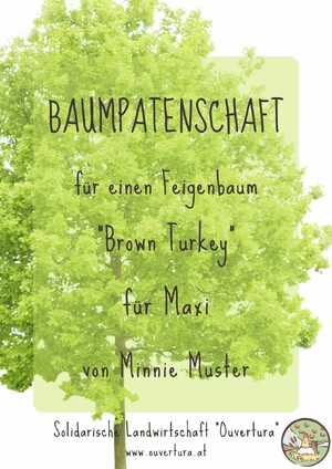Eine Musterurkunde für eine Baumpatenschaft